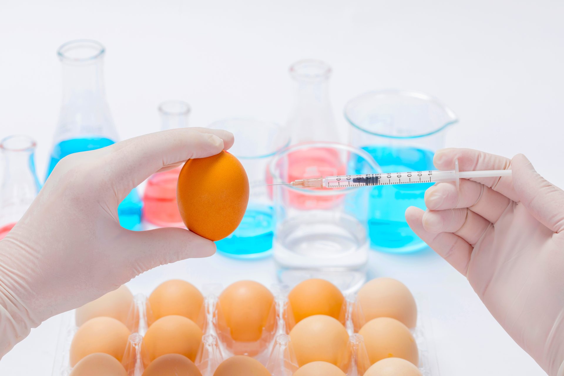 Cundinamarca revoluciona la avicultura con bacteriofagos1