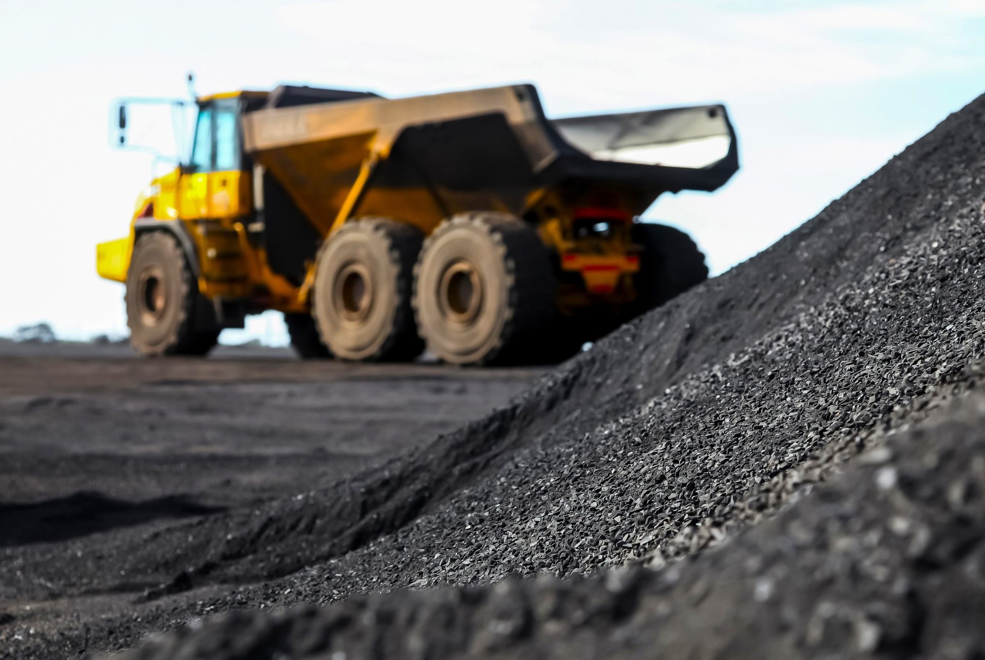 PGN advierte Decreto que prohibe exportar carbon a Israel vulnera la Constitucion y la Ley1