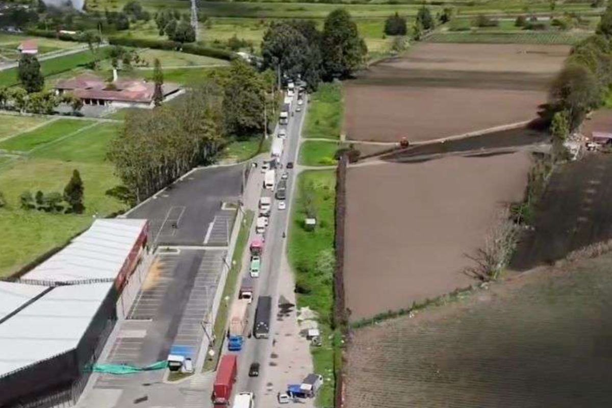 Proyecto nuevo 20