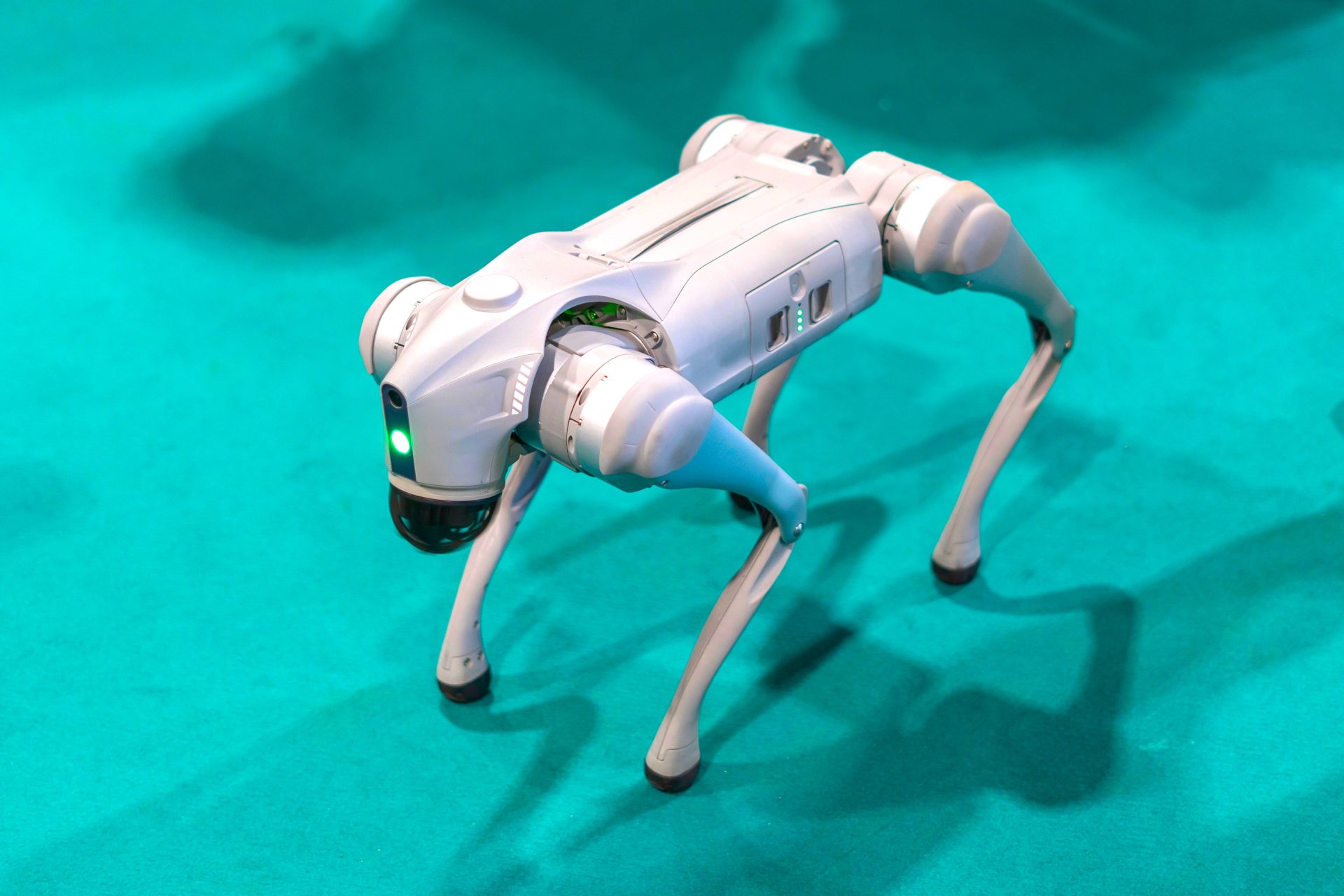 Waldog el perro robot que se vuelve viral en la lucha contra el maltrato animal1