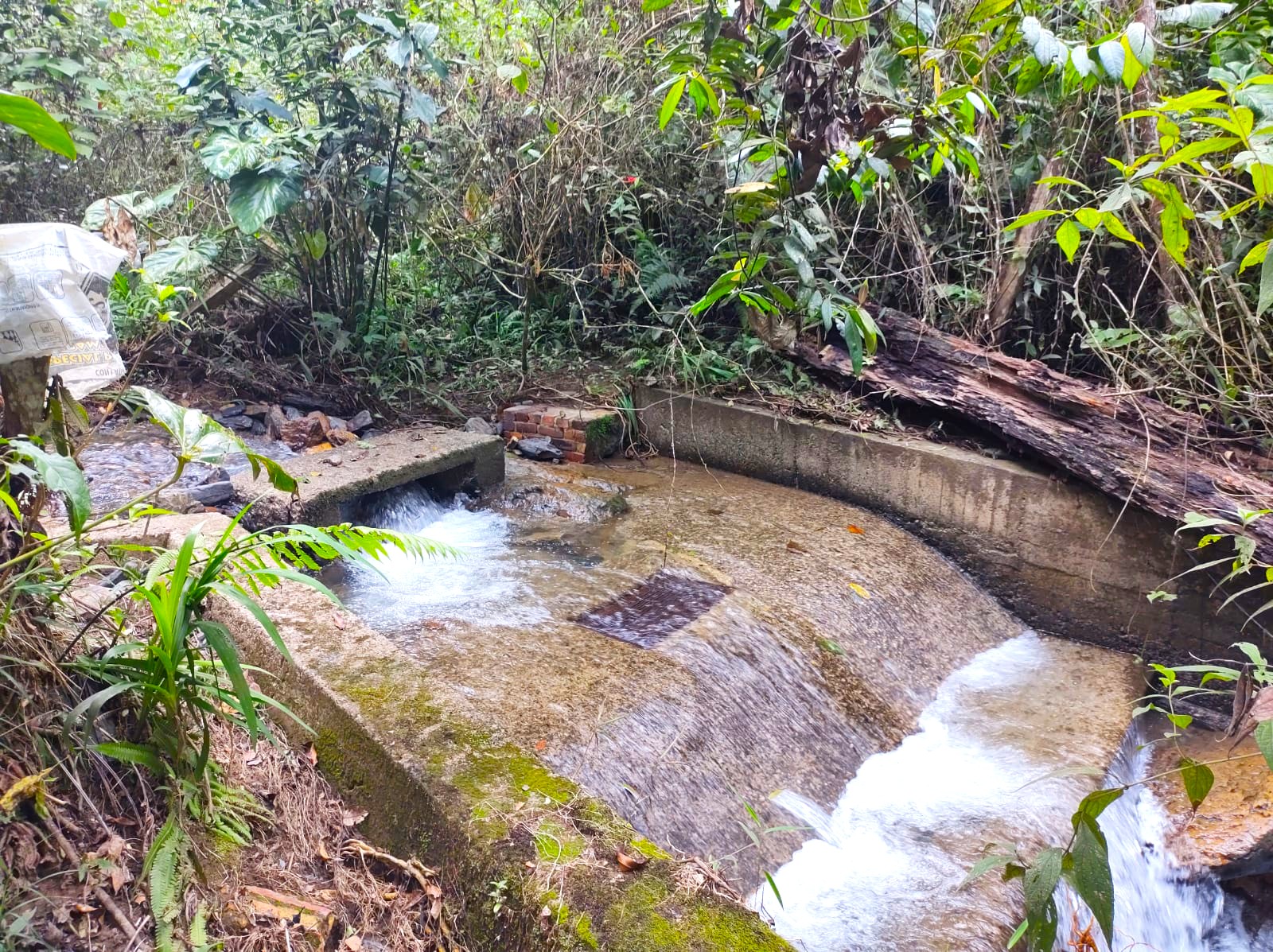 Agua Vida Rural fortalece acueductos veredales en Cundinamarca con su ultima convocatoria