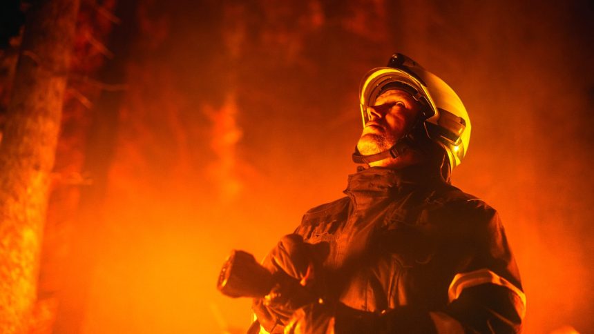 DNBC acredita la Brigada Forestal de Cundinamarca como escudo contra incendios1