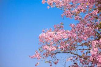 Depositphotos 312936198 L
