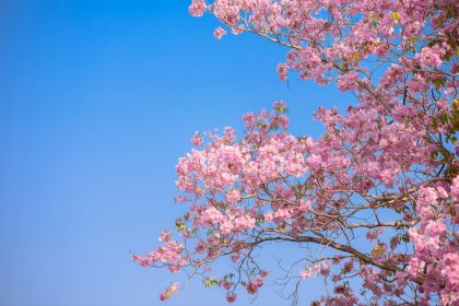 Depositphotos 312936198 L