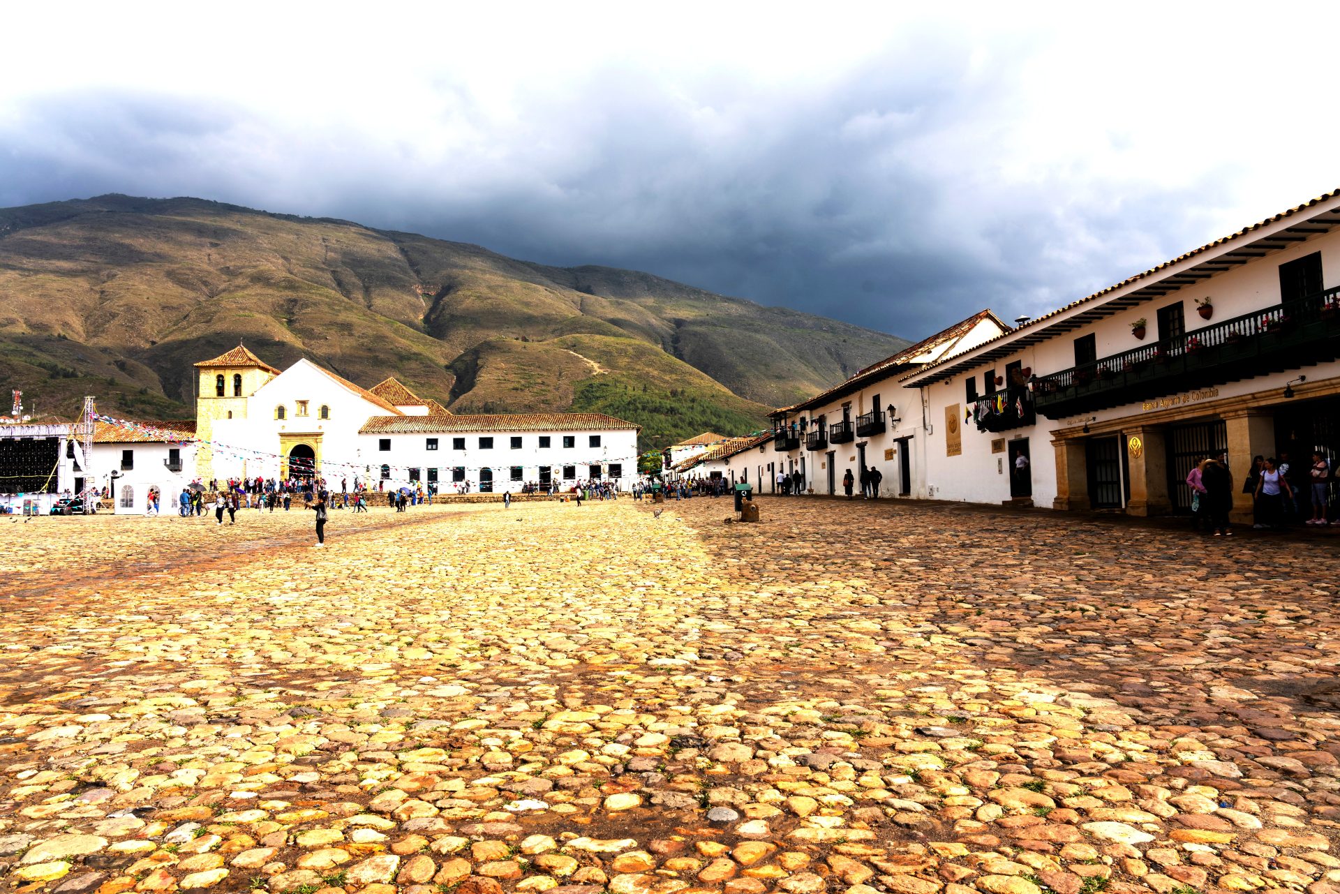 Descubren en Villa de Leyva el fosil del tiburon gigante mas completo y antiguo del mundo
