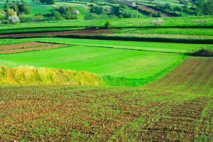En Sopo fueron declaradas 1.951 hectareas como Area de Proteccion para la Produccion de Alimentos1