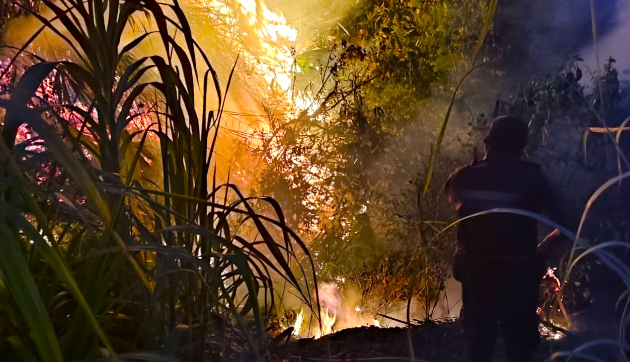 Incendios forestales en Cundinamarca balance deja 74 hectareas afectadas en nueve municipios2