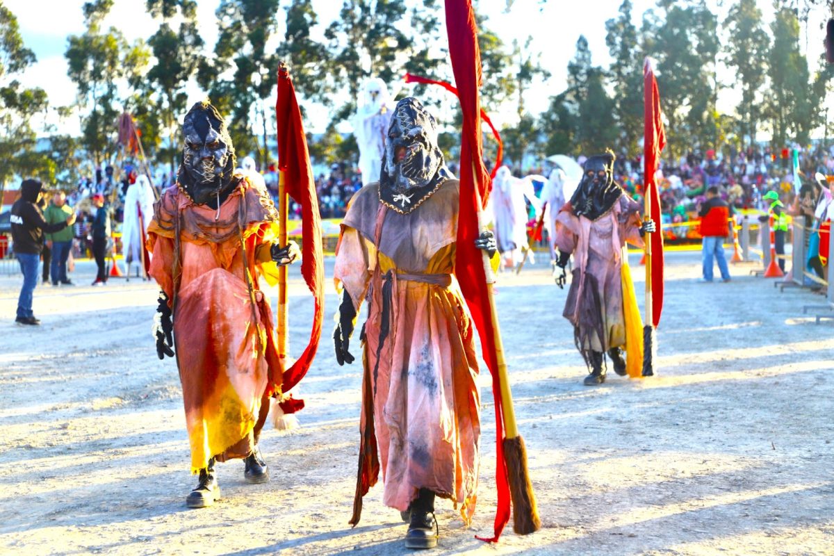 Mas de 45.000 asistentes se deleitan con el arte la musica y la cultura en el XXV Festival de la Colombianidad1