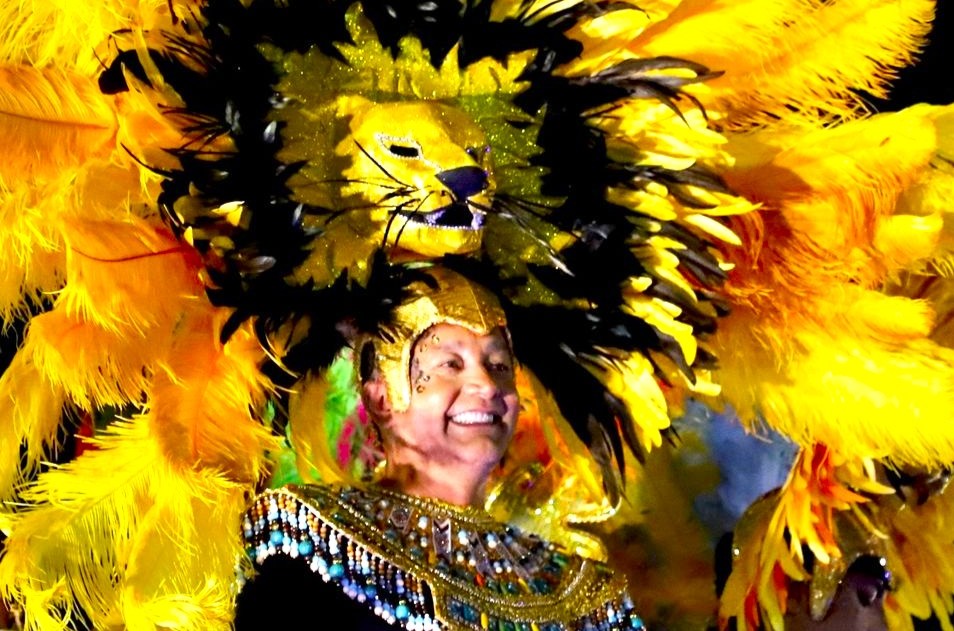 Mas de 45.000 asistentes se deleitan con el arte la musica y la cultura en el XXV Festival de la Colombianidad7