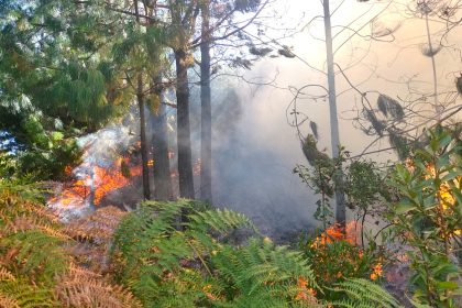 Ola de incendios forestales arrasa mas de 80 hectareas en seis provincias de Cundinamarca1