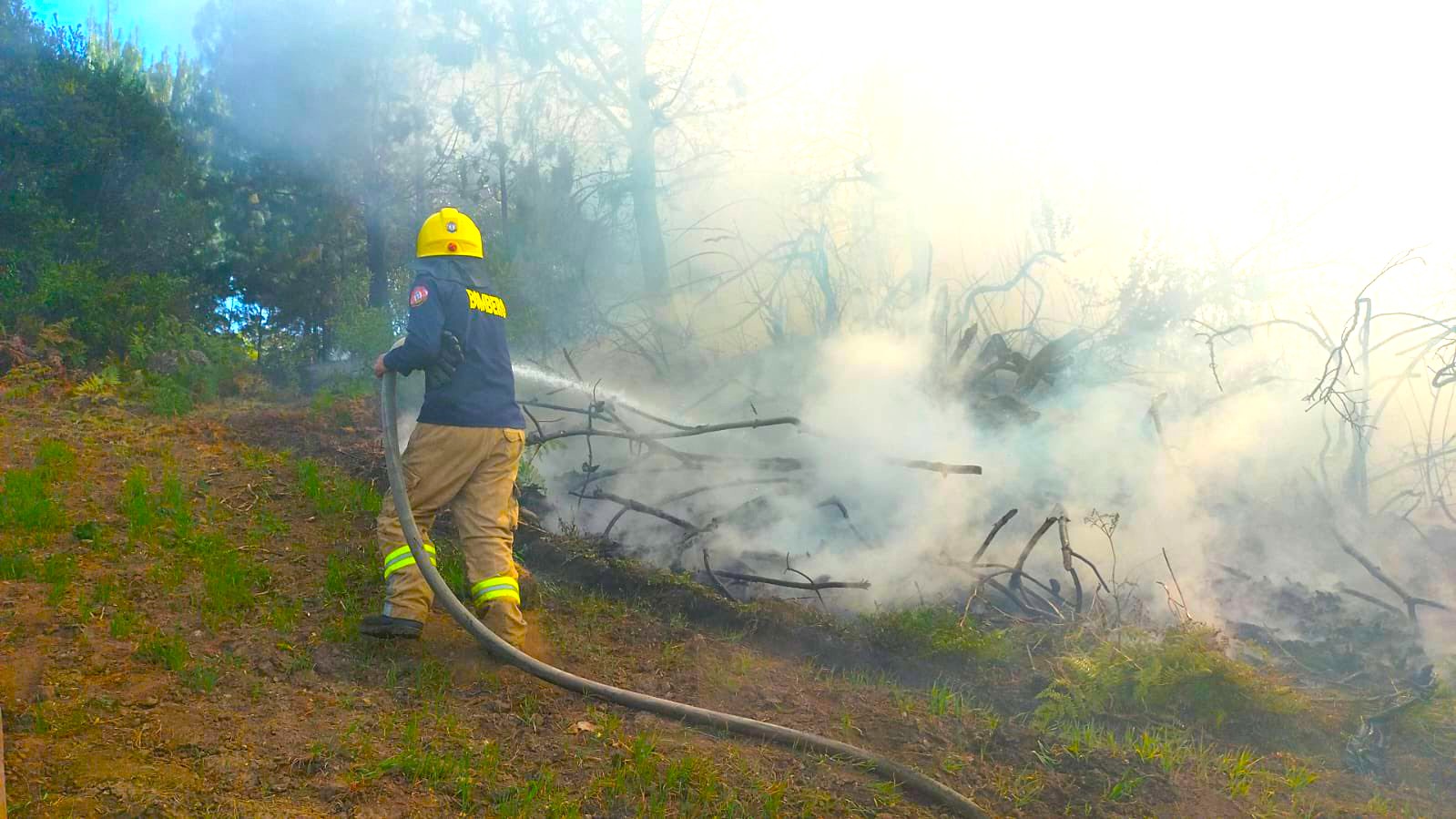 Ola de incendios forestales arrasa mas de 80 hectareas en seis provincias de Cundinamarca2