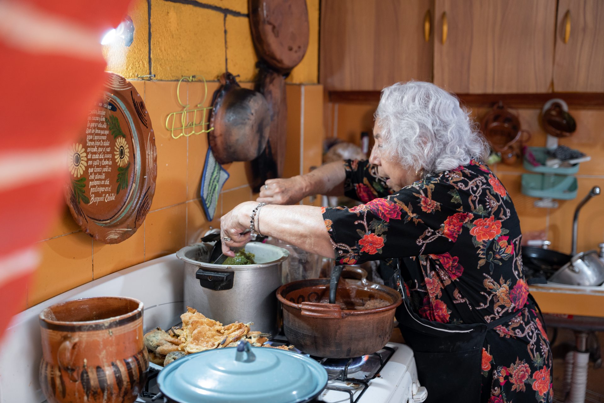 a senior mexican woman is preparing chayote to go 2025 01 10 03 43 06 utc
