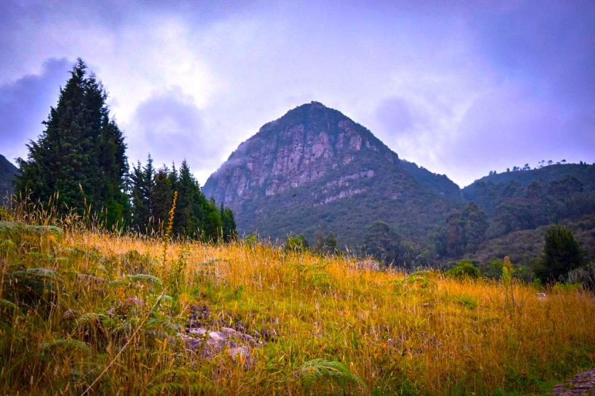 El cerro herido entre la neblina y los frailejones Juaica despierta la conciencia ambiental de Cundinamarca