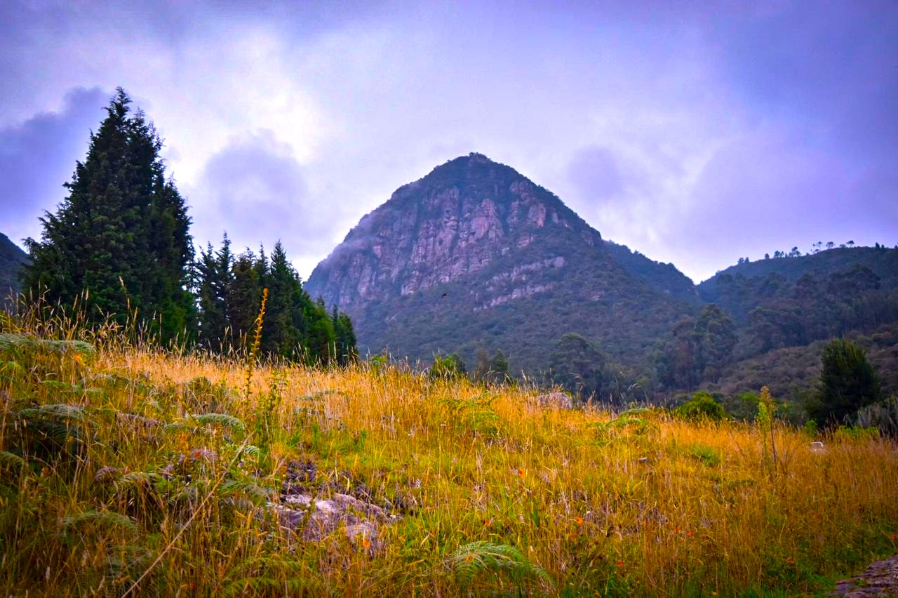 El cerro herido entre la neblina y los frailejones Juaica despierta la conciencia ambiental de Cundinamarca