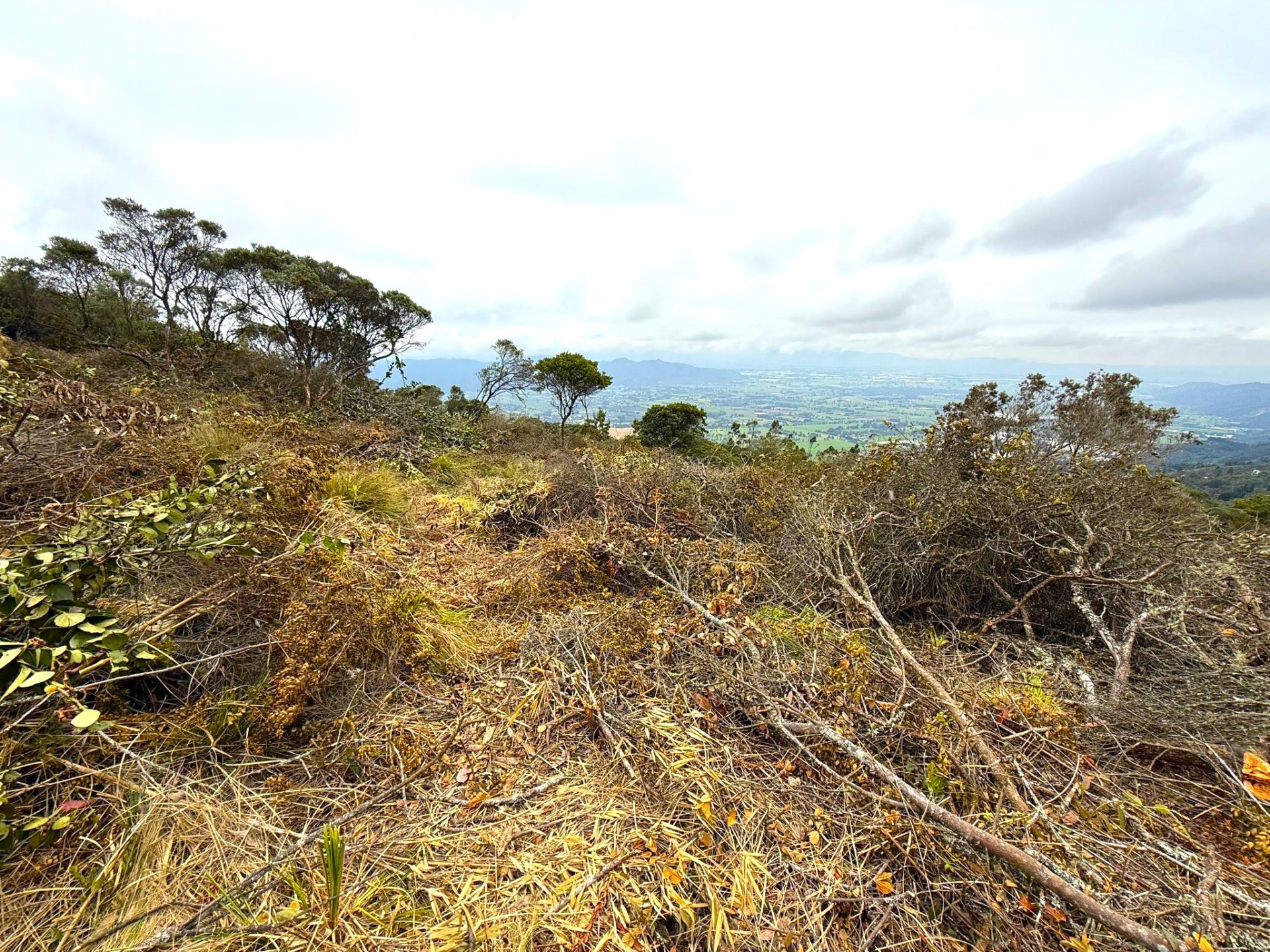 El cerro herido entre la neblina y los frailejones Juaica despierta la conciencia ambiental de Cundinamarca3