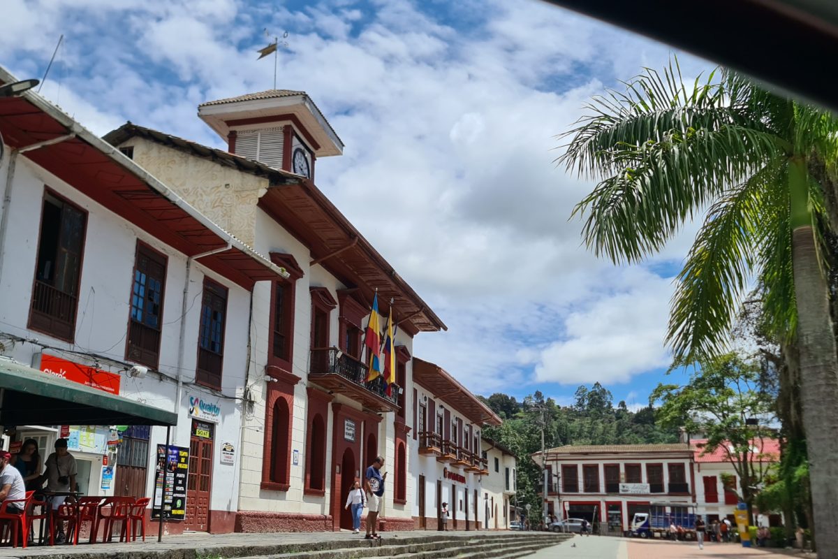 Proyecto nuevo 7