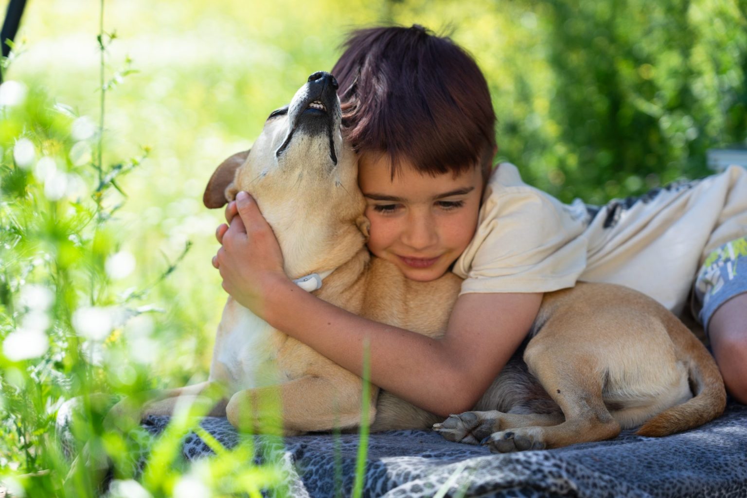 boy hugging his dog outdoors 2025 01 08 03 41 43 utc