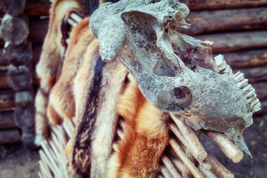 countryside wattle on which hunters dry tanned ski 2025 10 16 08 31 05 utc