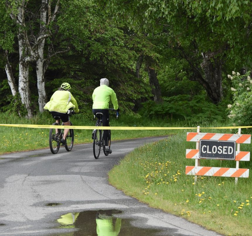 envato labs image edit