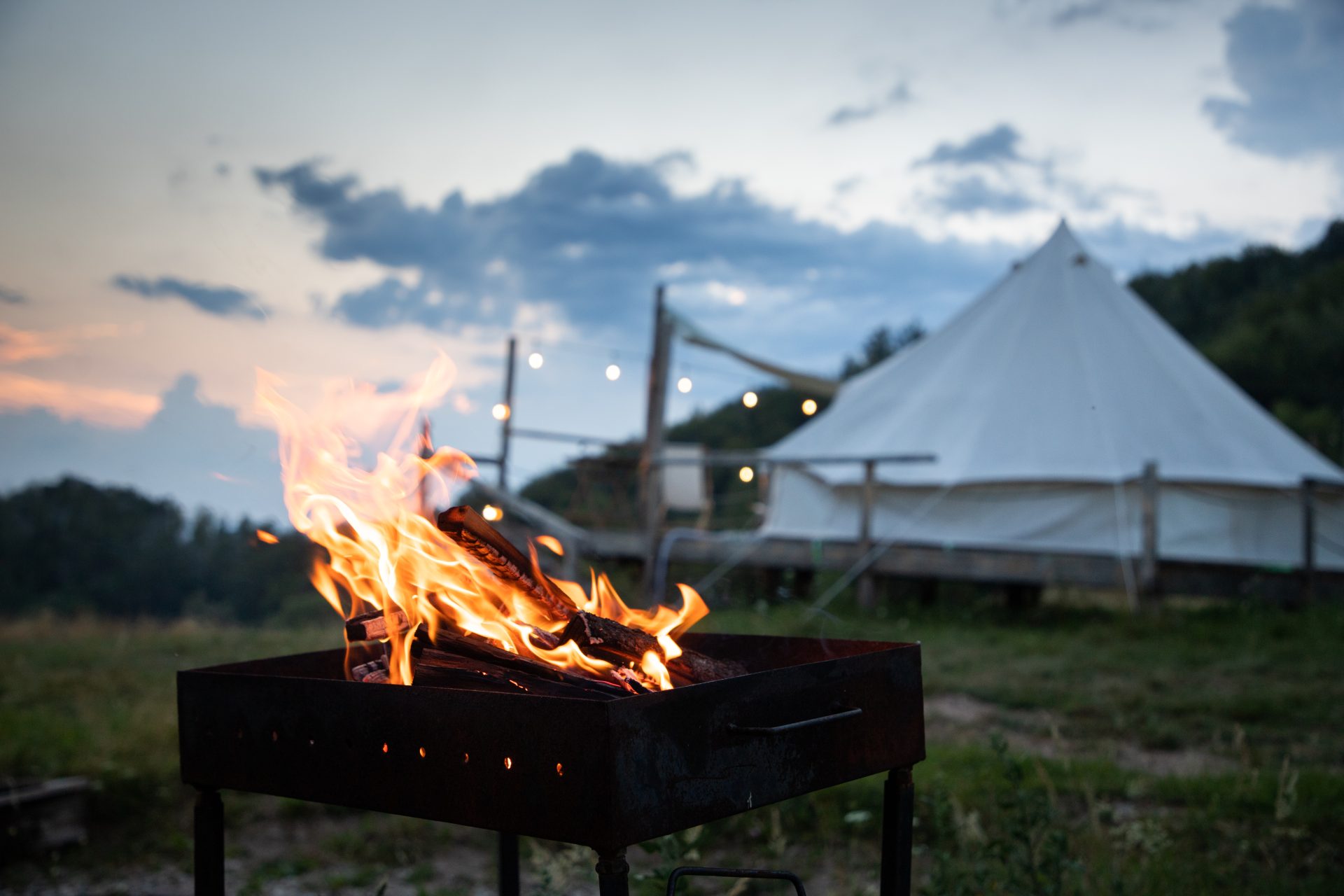 glamping or glamour camping with a dog 2025 04 02 17 14 39 utc