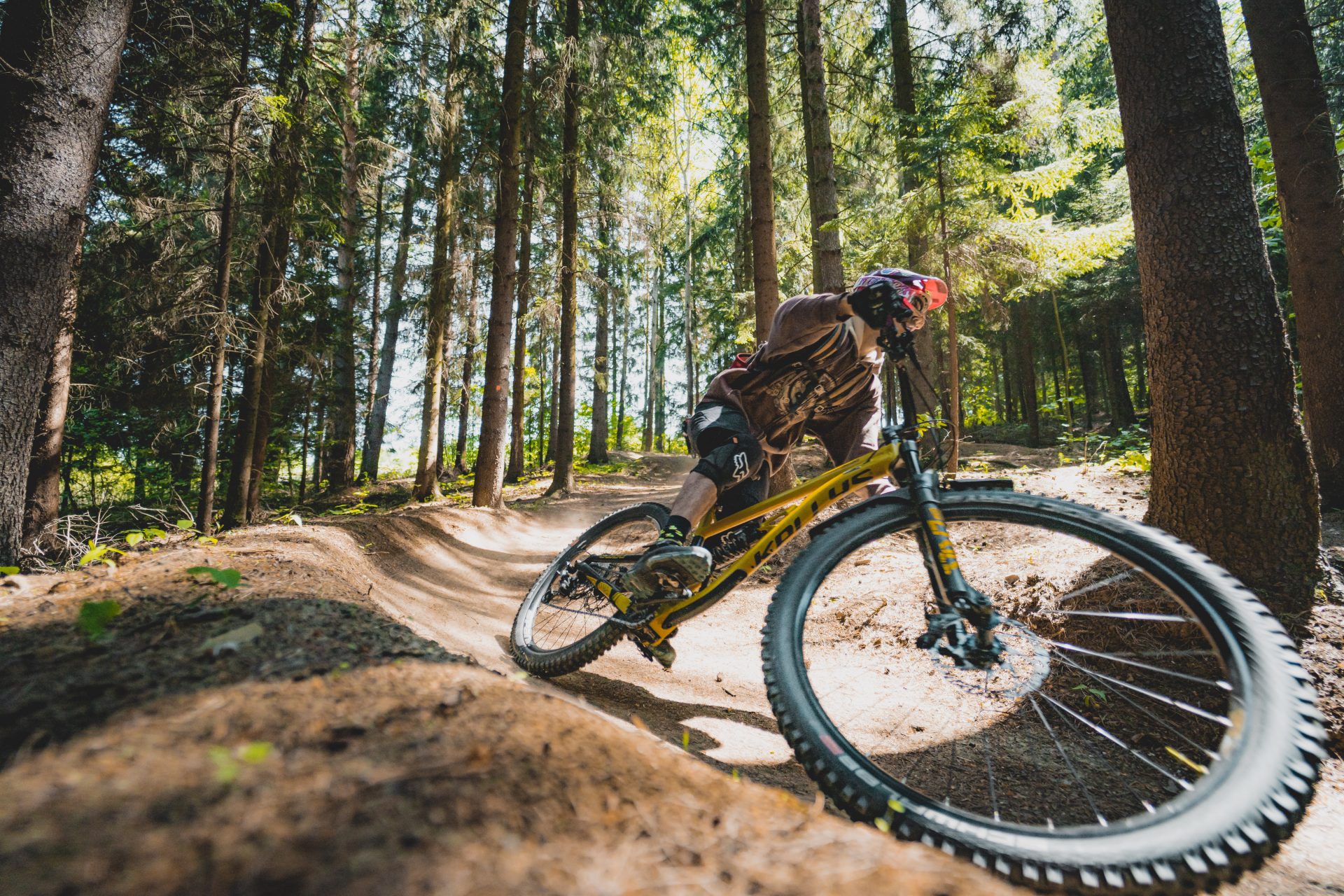 mountain biker riding on a forest dirt trail 2025 02 03 09 47 09 utc