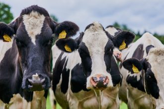 out in the fields 2025 04 06 07 33 06 utc