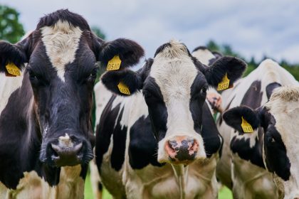 out in the fields 2025 04 06 07 33 06 utc