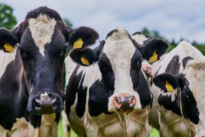 out in the fields 2025 04 06 07 33 06 utc