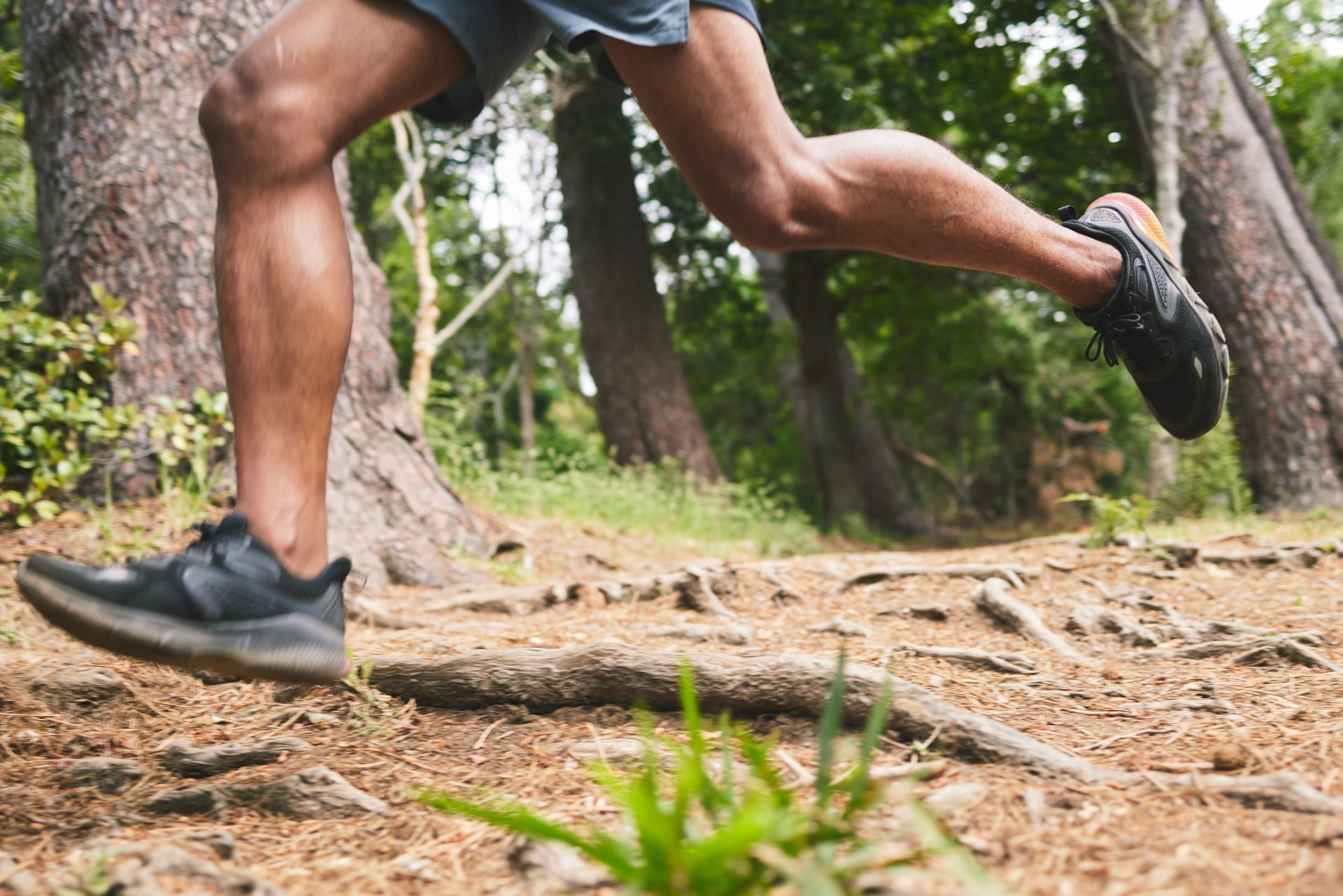 running fitness and legs of man in forest for mar 2025 04 06 06 47 31 utc