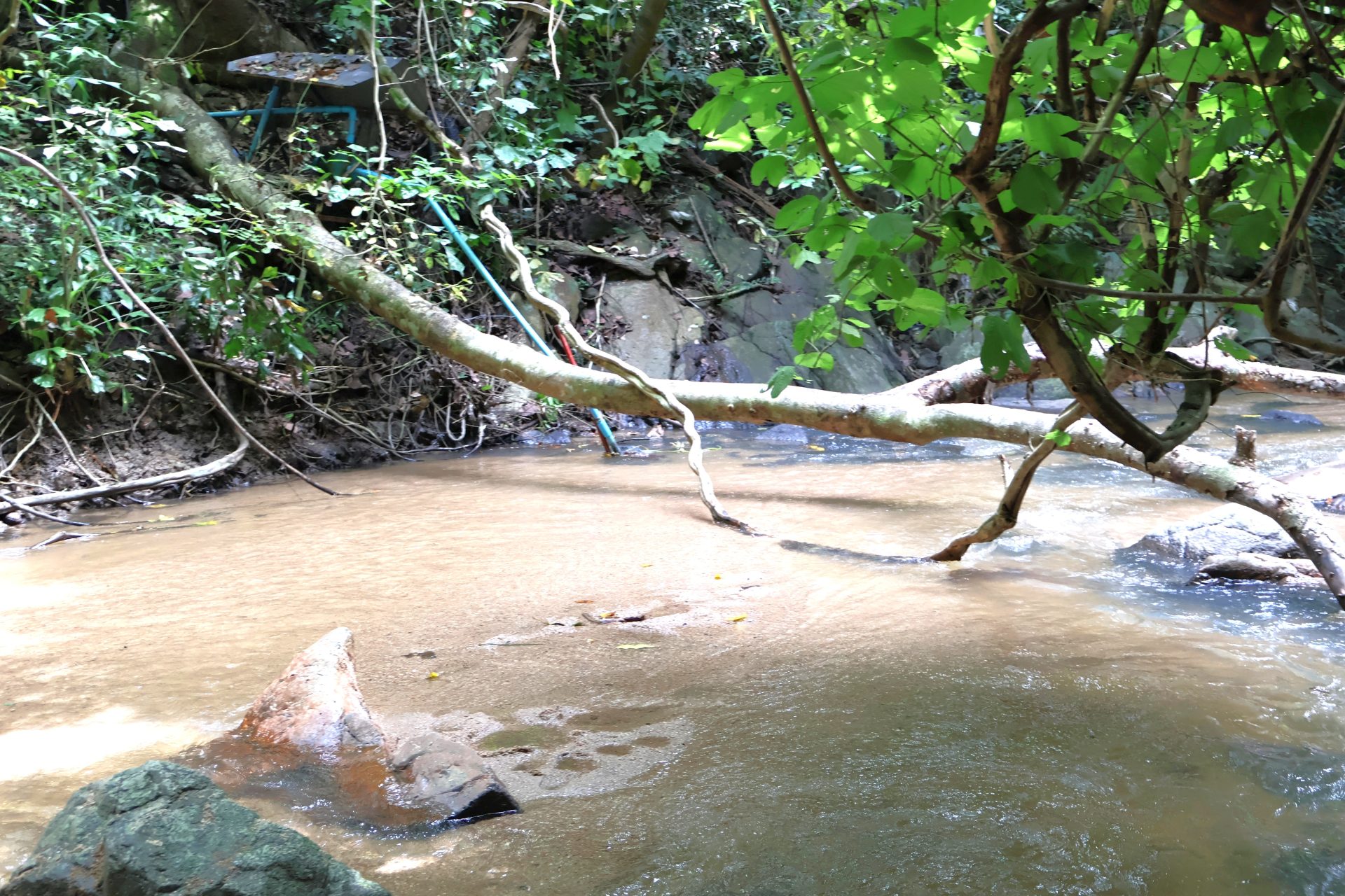 Angustia en Gutierrez Cundinamarca buscan a nina arrastrada por el rio Blanco2