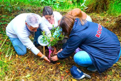 Chia supera los 20 mil arboles sembrados y acelera la recuperacion de sus cerros y quebradas1