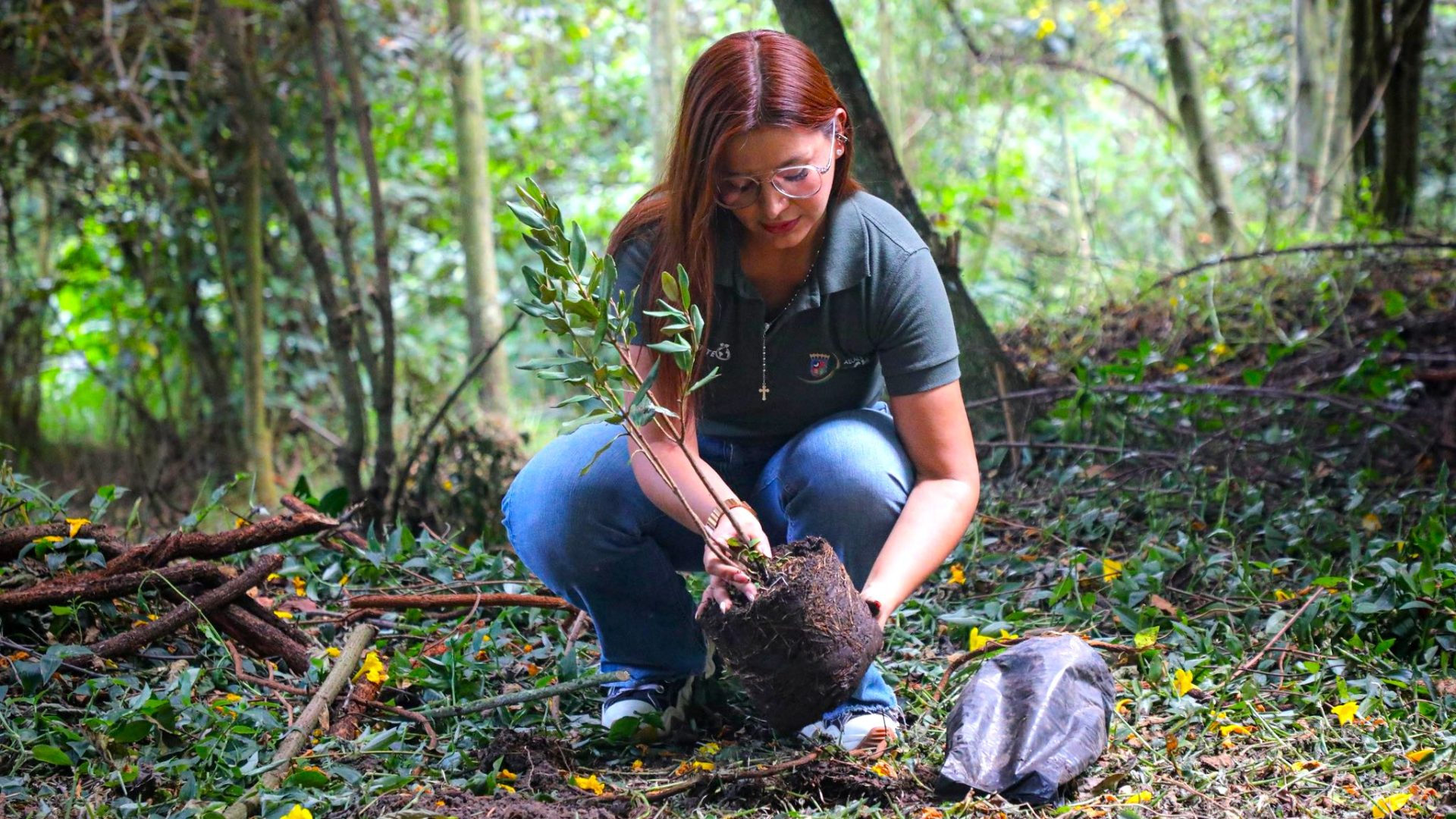 Chia supera los 20 mil arboles sembrados y acelera la recuperacion de sus cerros y quebradas2