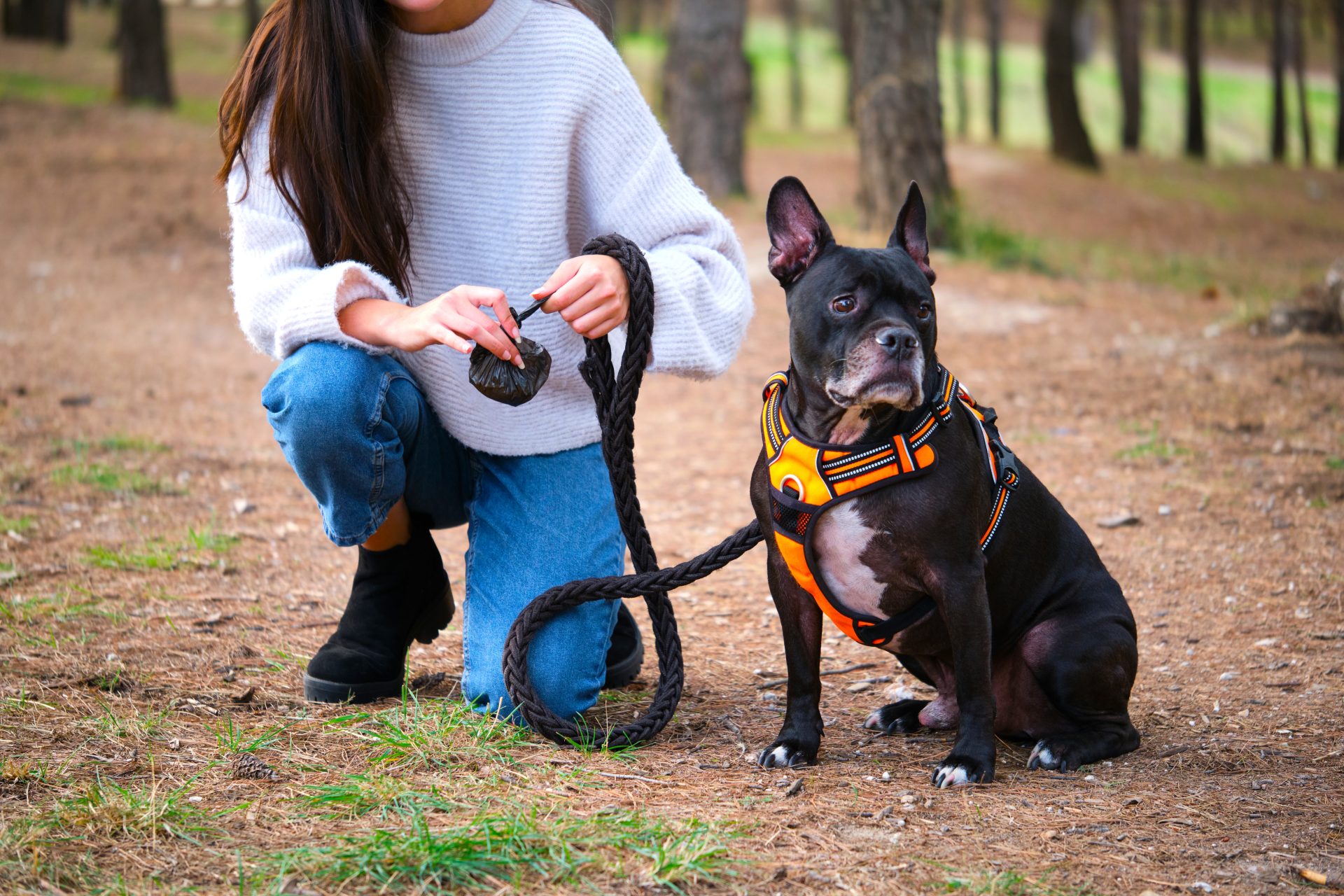 En Ubate sanciones economicas a duenos de mascotas que no recojan sus