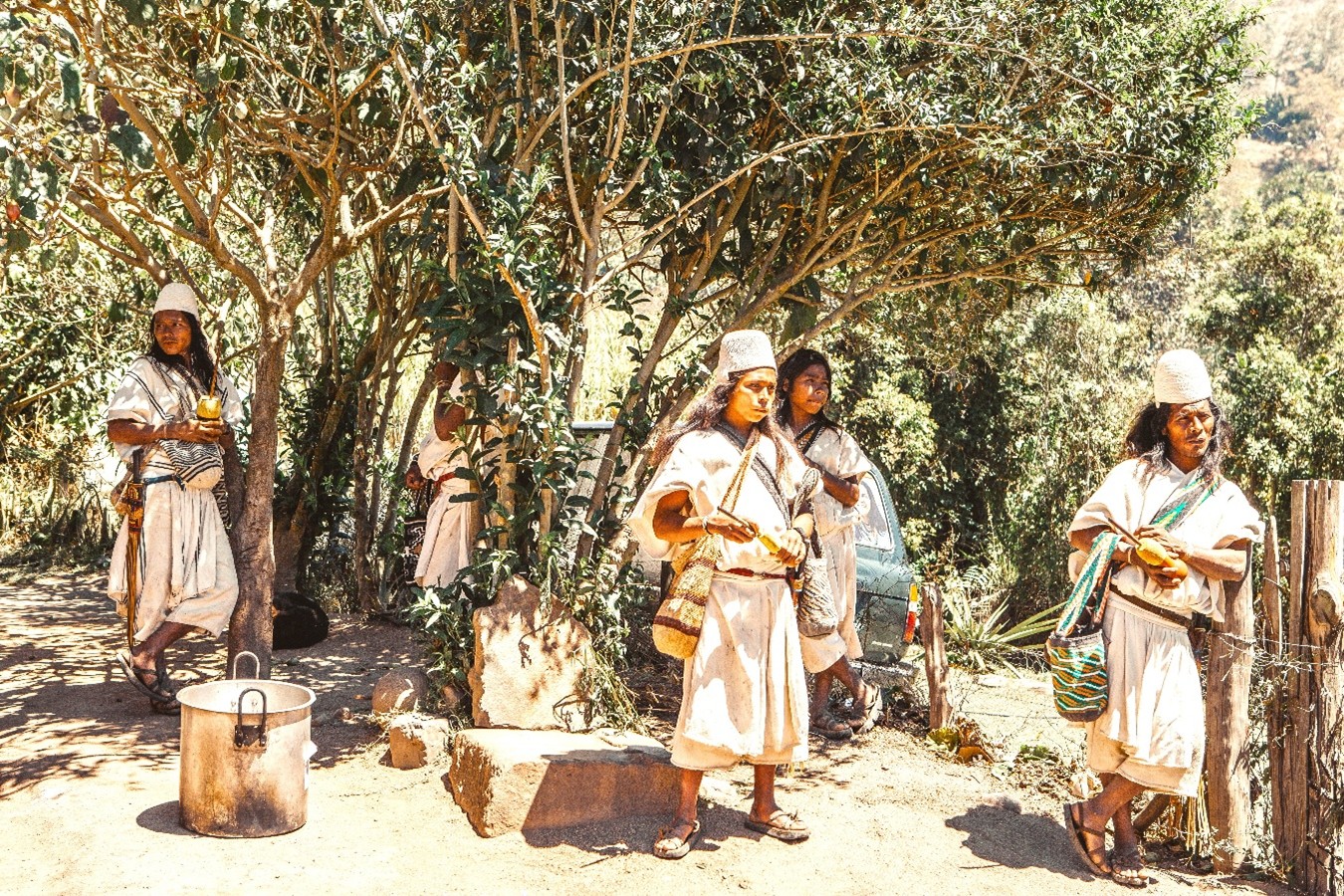 Miles de Arhuacos sin salud ni educacion Procuraduria exige respuestas inmediatas al Gobierno2