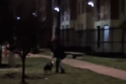 image 2025 11 14 10 19 52