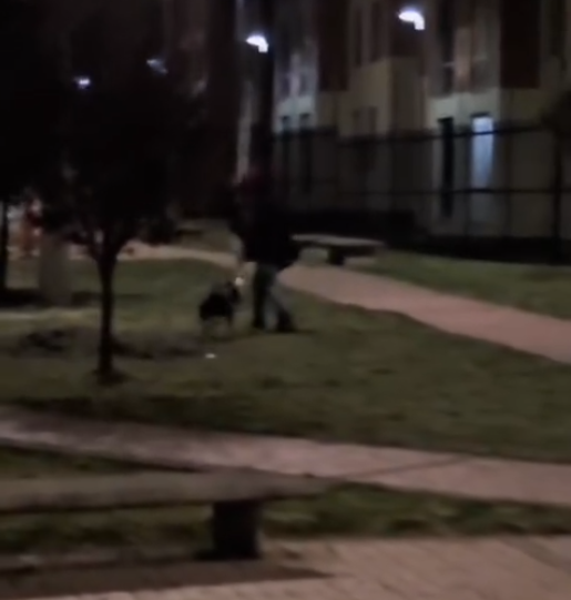 image 2025 11 14 10 19 52