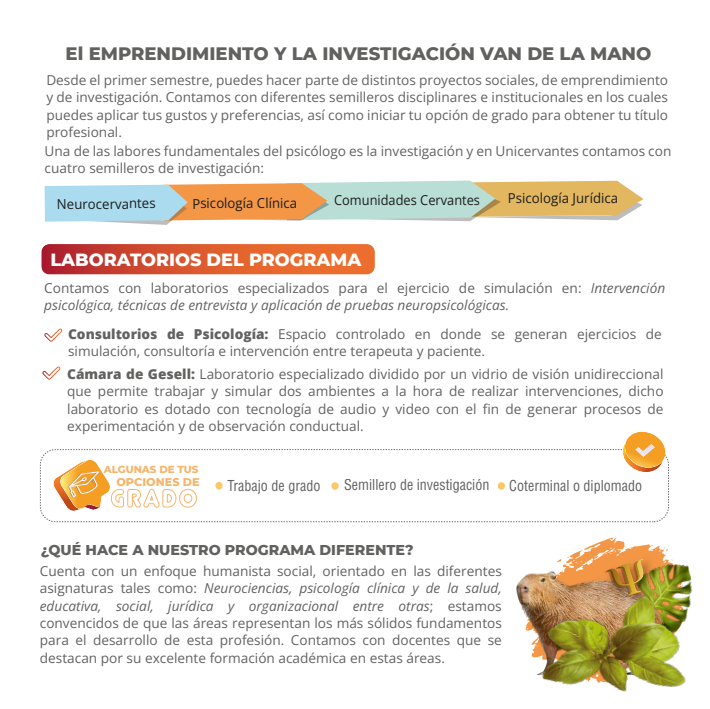 image 2025 11 20 10 49 22