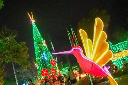 595122974 1255924286581397 1039352471664612500 n