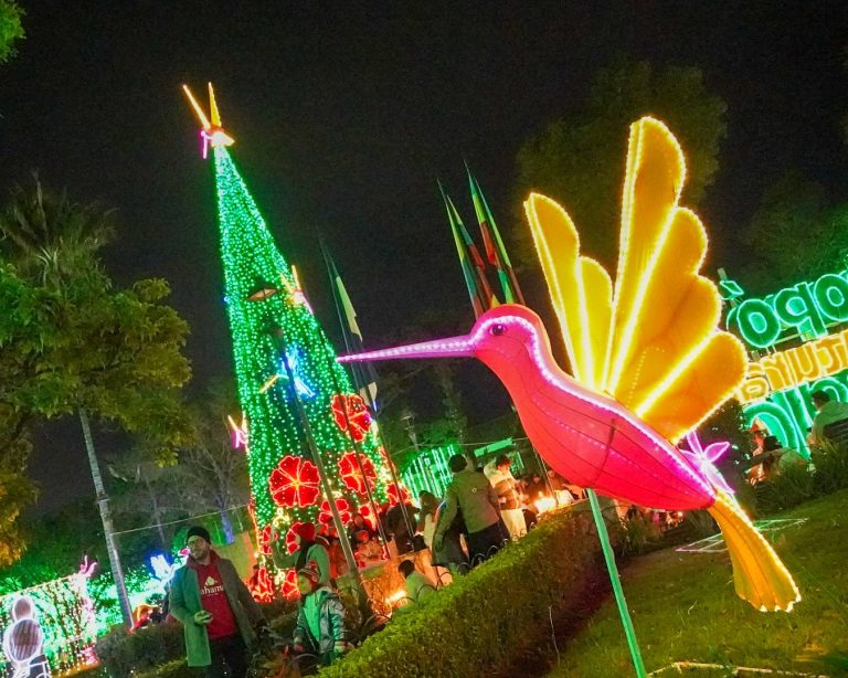 595122974 1255924286581397 1039352471664612500 n