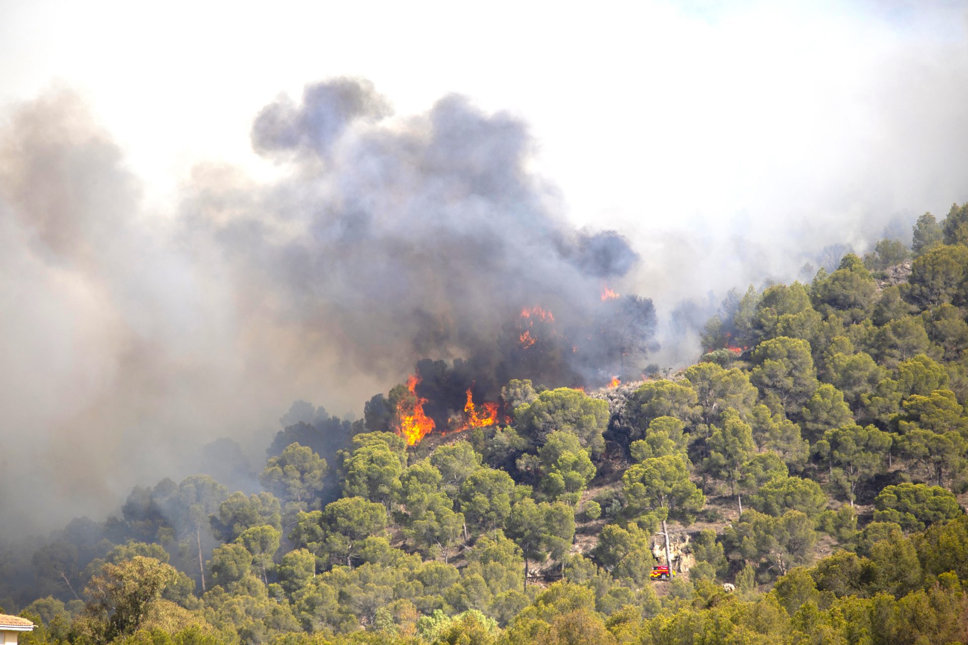 Cundinamarca entra en alerta maxima por riesgo de incendios forestales ante alza de temperaturas2