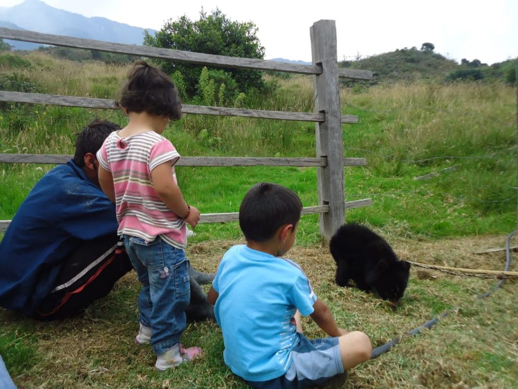 El oso Tama 5 1024x768 2