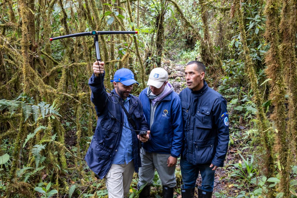 El oso Tama 7 1024x683 1