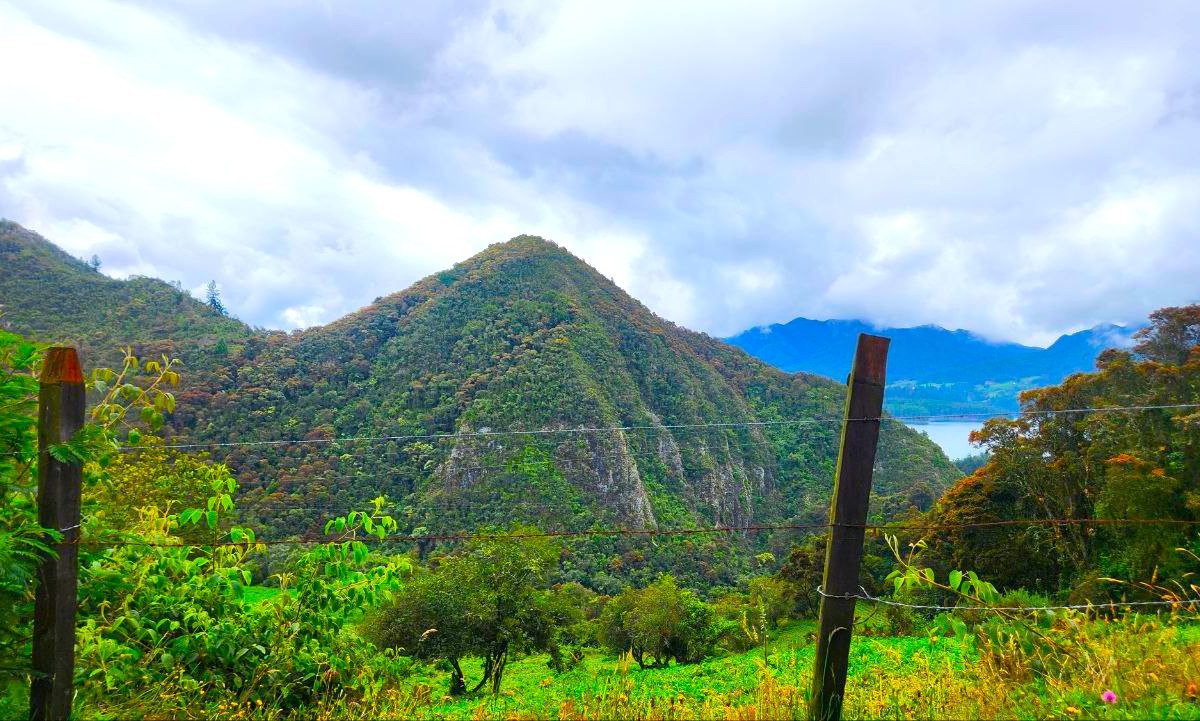 Es urgente una politica publica para salvar los paramos que abastecen de agua a los colombianos