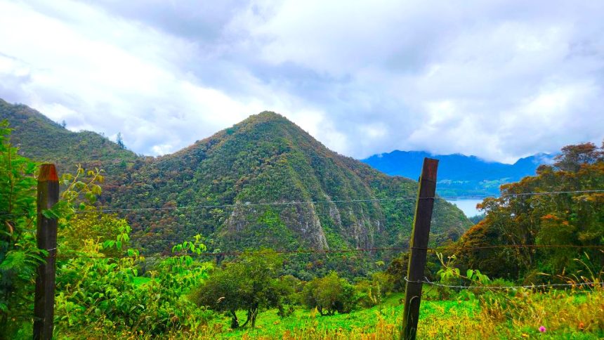 Es urgente una politica publica para salvar los paramos que abastecen de agua a los colombianos