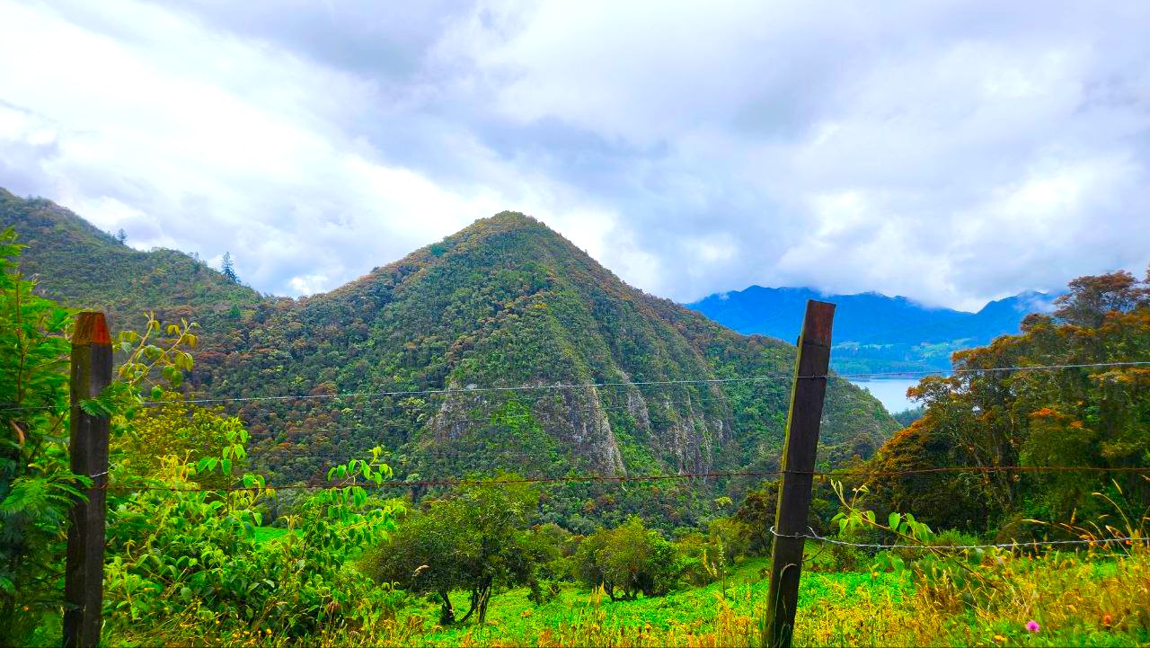 Es urgente una politica publica para salvar los paramos que abastecen de agua a los colombianos
