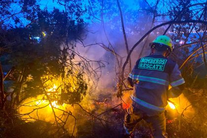 Gobernadores se adelantan al fuego activan ofensiva nacional contra incendios forestales
