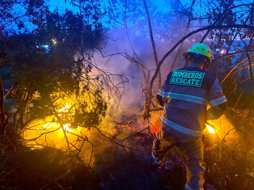 Gobernadores se adelantan al fuego activan ofensiva nacional contra incendios forestales