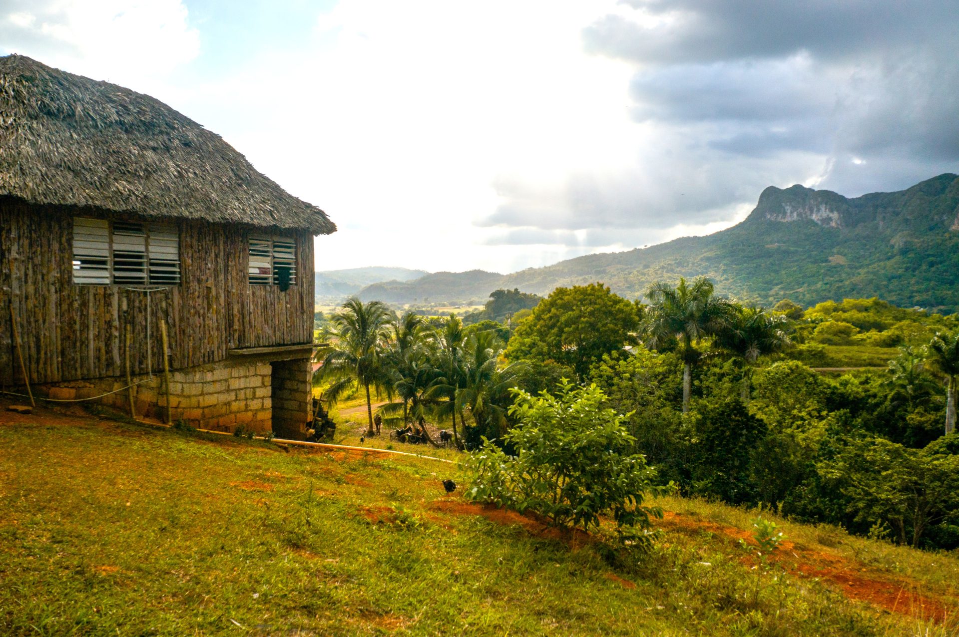 Resguardos indigenas sin agua ni alcantarillado menos del 20 de los hogares tiene acueducto1