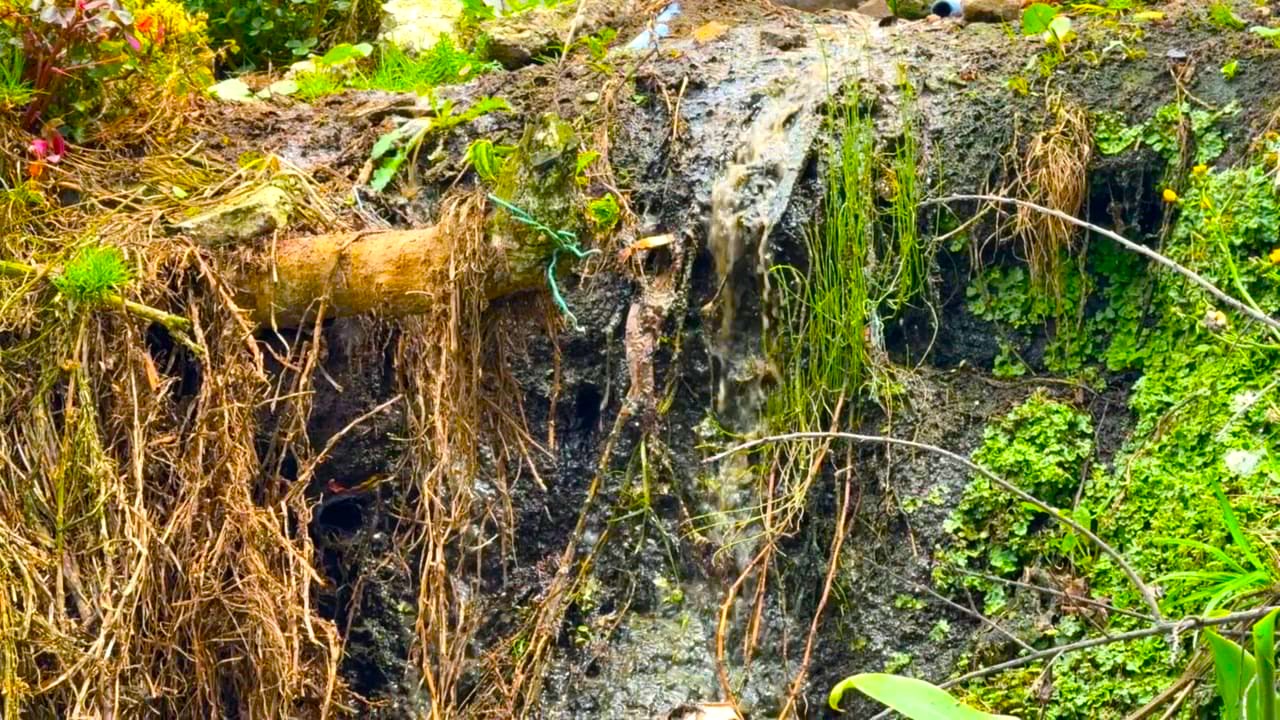 Suspenden ‘marranera en Zipaquira por vertimientos ilegales en la vereda San Jorge2