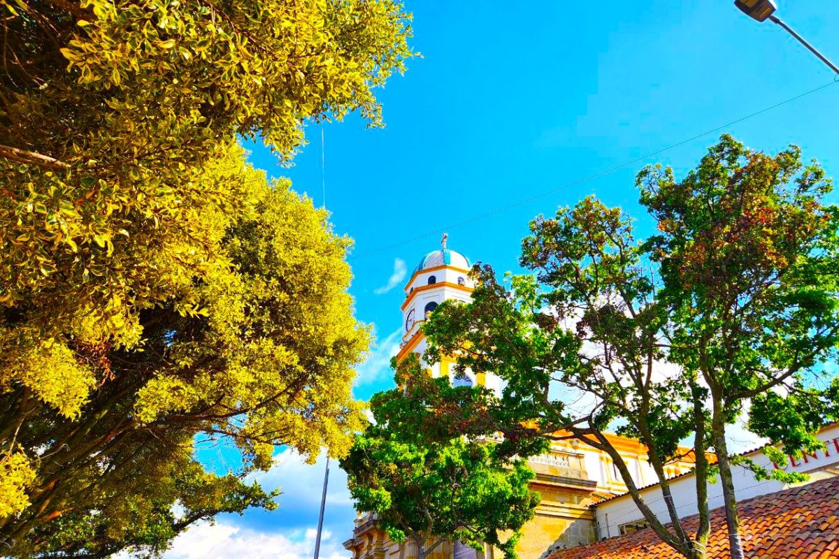 Alcalde Donoso Ruiz despeja dudas sobre camaras de seguridad vial en Chia1